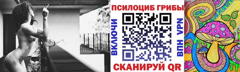 Псилоцибиновые грибы Psilocybine cubensis  KRAKEN   Ершов 
